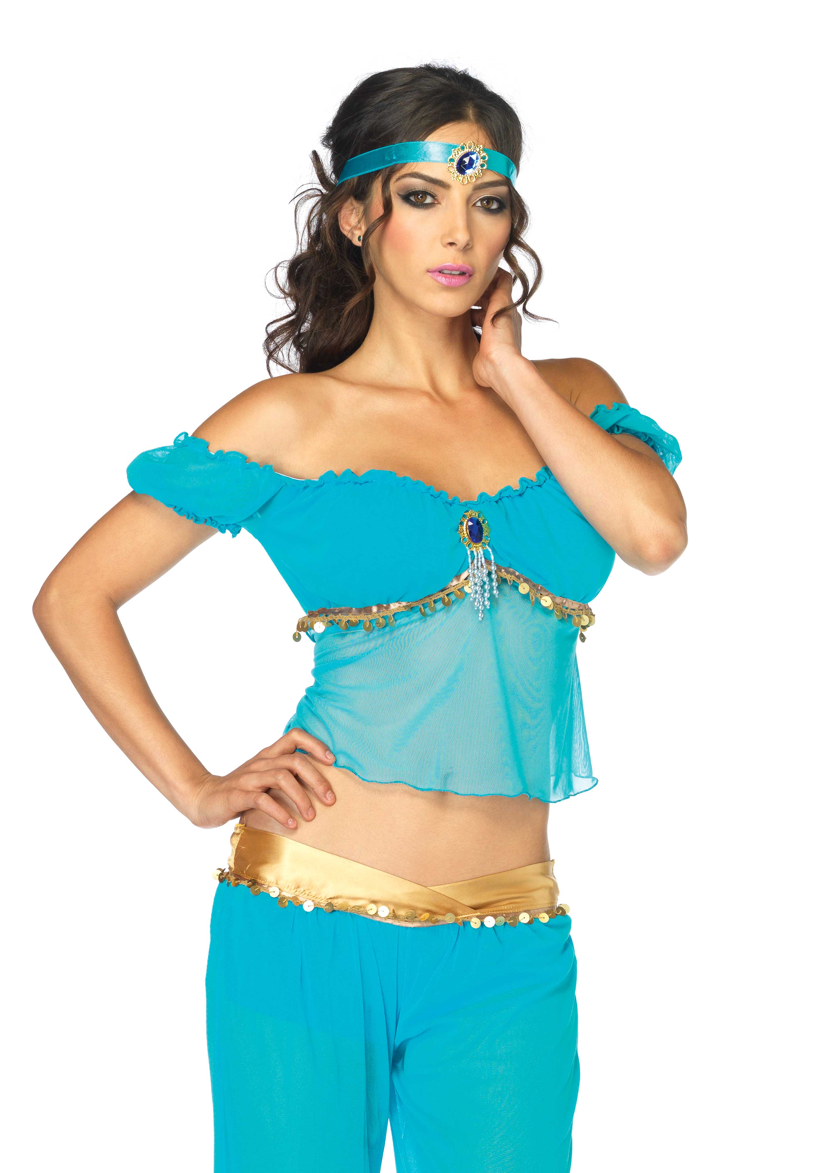 Arabian Beauty Top and Pants - Image 6